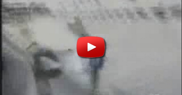 Snowboard Amador